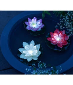 Dehner Kunststoff-Schale Miami, Rund, Anthrazit, Ca. Ø52/H20 Cm -Markenqualität 4032041 4032108 4032116 WE MO 001 DehnerSolarSeerosen