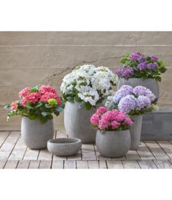 Dehner Leichtbeton-Topf Balloon Stone, Grau -Markenqualität 4058046 4058087 4057972 WE MO 004 DehnerLeichtbetonTopfPflanztopfPflanzvase 1