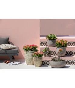 Dehner Leichtbeton-Schale Balloon Stone, Grau -Markenqualität 4058046 4058087 4057972 WE MO 005 DehnerLeichtbetonTopfBalloon