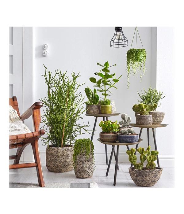 Dehner Keramik-Übertopf Stef, Bauchig, Braun, Ca. Ø25 Cm – Bild 3