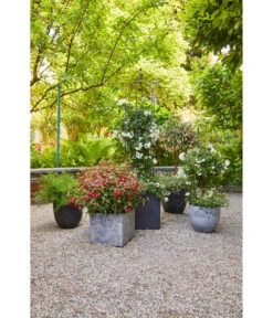 Dehner Obelisk Classic -Markenqualität 4086096 4086088 4086104 4086112 WE MO 002 KunststoffTopfBolaschwarz