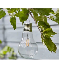 Dehner Solar-Glühbirnen 5er Set, Ca. Ø10/H17 Cm -Markenqualität 4151320 WE MO 002 SetDehnerSolarGluehbirnenAntik5erSet