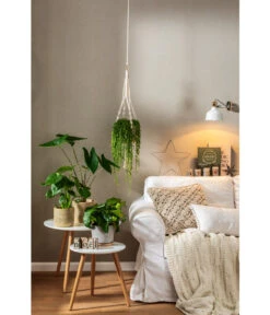 Dehner Makramee-Ampel -Markenqualität 4152484 PR MO 001 TopfFreshBraunGrau 4408951 4408977 4408985 4409132