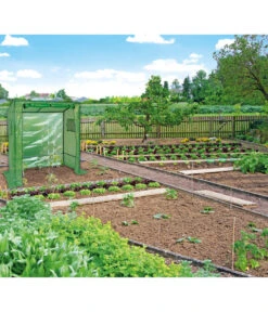 Dehner Tomatenreifehaus, Ca. B170/H190/T80 Cm -Markenqualität 4180121 WE MO 001 TomatenreifehausDehnerGewaechshaus