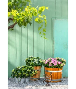 Dehner Gusseisen-Deko-Sonnenuhr, Ca. B33/H34/T24 Cm, Dunkelbraun 5 Dehner Gusseisen-Deko-Sonnenuhr, Ca. B33/H34/T24 Cm, Dunkelbraun -Markenqualität 4214573 WE MO 002 DehnerGusseisenSonnenuhr