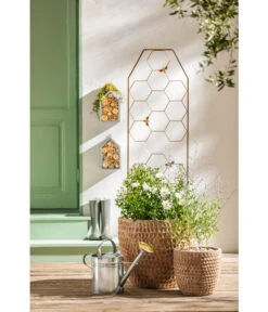 Dehner Terrakotta-Topf Adria, Rund, Antik-terrakotta -Markenqualität 4272530 WE MO 005 DehnerTerrakottaTopfterrakottaantik