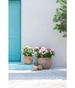 Dehner Terrakotta-Topf Imperia, Rund, Antik-terrakotta -Markenqualität 4272639 4272670 WE MO 003 DehnerTerrakottaTopf