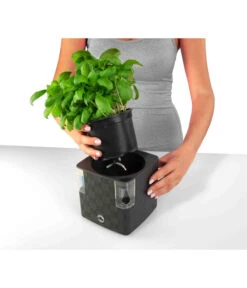 Dehner Kunststoff-Topf Mona, Eckig, Ca. B14/H14/T14 Cm -Markenqualität 4320743 PR FS 002 KunststoffTopfMonaGrau