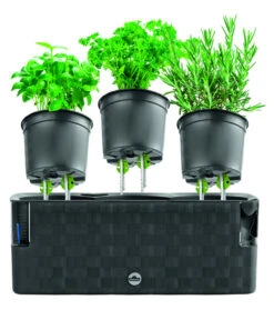 Dehner Kunststoff-Kasten Mona, Trio, Ca. B40/H14/T14 Cm 11 Dehner Kunststoff-Kasten Mona, Trio, Ca. B40/H14/T14 Cm -Markenqualität 4320768 PR FS 003 TopfMonaTrioAnthrazitDehnerExpressHerzig