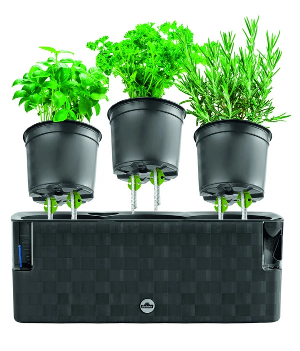 Dehner Kunststoff-Kasten Mona, Trio, Ca. B40/H14/T14 Cm 7 Dehner Kunststoff-Kasten Mona, Trio, Ca. B40/H14/T14 Cm – Bild 5