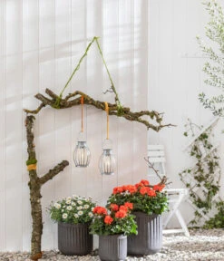 Dehner Solar-Zinkglühbirne Chester, Ca. Ø15,5/H30,5 Cm -Markenqualität 4395182 WE MO 002 DehnerZinkgluehbirneChester