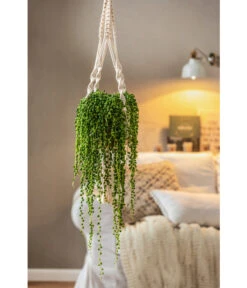 Dehner Makramee-Ampel -Markenqualität 4409132 PR MO 003 AmpelnFreshMakramee