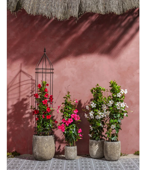 Dehner Keramik-Topf Bungxe, Meliert 5 Dehner Keramik-Topf Bungxe, Meliert – Bild 3