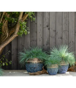 Dehner Keramik-Topf Mystras, Rund, Blau-braun 9 Dehner Keramik-Topf Mystras, Rund, Blau-braun -Markenqualität 4441317 4441341 4441408 WE MO 002 DehnerKeramikTopfMystrasrundblaubraun