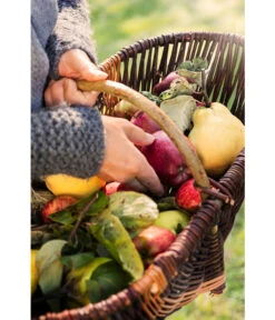 Dehner Weidenkorb Mit Bügel, Ca. B55/H27/T34 Cm -Markenqualität 482976 WE DE 001 WeidenkorbMitBuegel