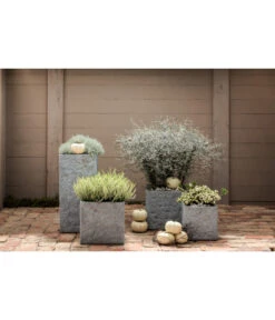 Dehner Leichtbeton-Topf Rock, Quadratisch, Grau -Markenqualität 5157524 WE MO 004 LeichtbetonTopfquadratischrock