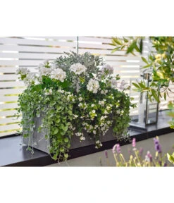 Dehner Leichtbeton-Kasten Rock, Rechteckig, Grau -Markenqualität 5157607 5157615 WE MO 001 DehnerLeichtbetonKastenrockgrau