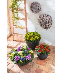 Dehner Kunststoff-Schale Miami, Rund, Anthrazit, Ca. Ø52/H20 Cm -Markenqualität 5181383 WE MO 009 KunststoffSchaleanthrazit