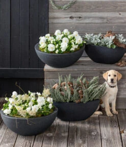 Dehner Kunststoff-Schale Miami, Rund, Anthrazit, Ca. Ø52/H20 Cm -Markenqualität 5181409 8808008 8829541 WE MO 001 WinterbluehenBL192021