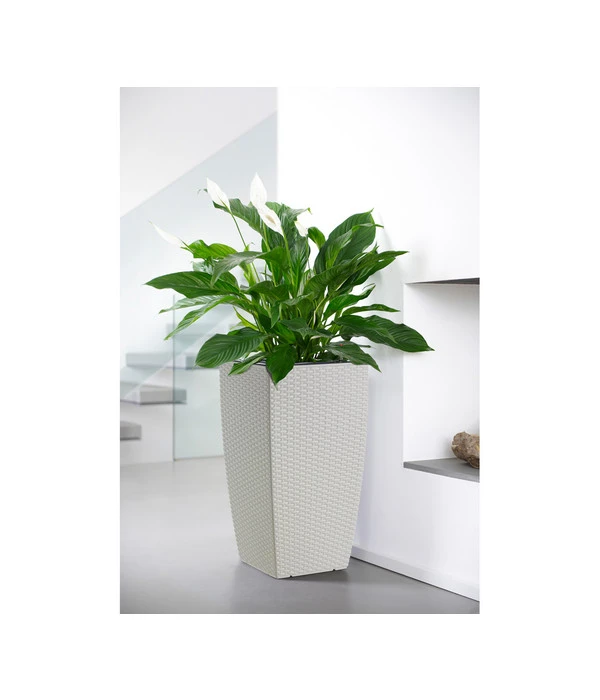 Dehner Kunststoff-Flechttopf Dallas, Quadratisch 4 Dehner Kunststoff-Flechttopf Dallas, Quadratisch – Bild 2