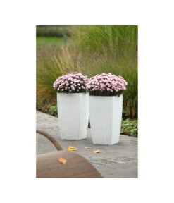 Dehner Kunststoff-Flechttopf Dallas, Quadratisch 18 Dehner Kunststoff-Flechttopf Dallas, Quadratisch -Markenqualität 5336508 WE MO 002 KunststoffFlechttopf30x30cmWeissDehnerLiving