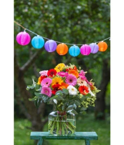 Dehner Solar-Lichterkette Lampion, Ca. L240 Cm -Markenqualität 6473649 WE MO 001 DehnerLichterketteLampion