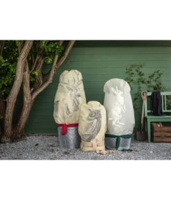 Dehner Pflanzen-Isolierfolie -Markenqualität 6702765 3082997 WE MO 005 VlieshaubeHaseBeige