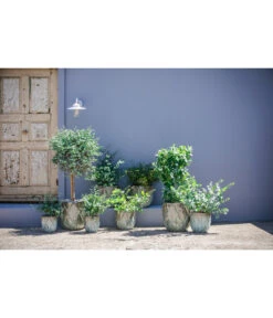 Dehner Keramik-Topf Rombus 8 Dehner Keramik-Topf Rombus -Markenqualität 6703276 6703284 6703292 6703300 WE MO 002 DehnerKeramikTopfRombus