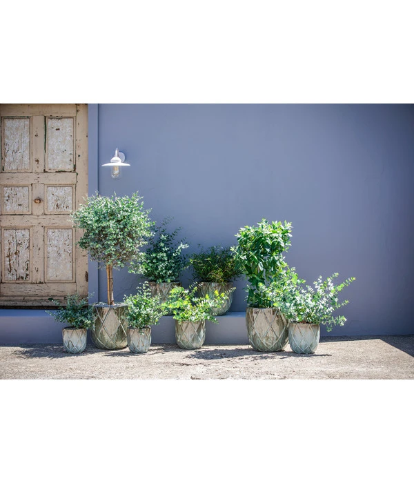 Dehner Keramik-Topf Rombus 5 Dehner Keramik-Topf Rombus – Bild 3