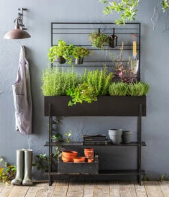 Dehner Hochbeet Provence, Ca. B100/H160/T30 Cm -Markenqualität 6731624 WE MO 001 HochbeetProvenceNEU