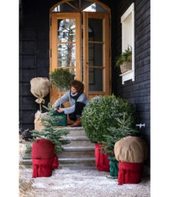 Dehner Pflanzen-Isolierfolie -Markenqualität 6798813 WE MO 002 DehnerWinterschutzVliesRot