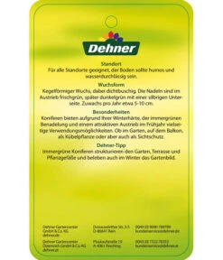 Korea-Tanne 'Molli' -Markenqualität 7001936 KoreatanneMolli Etikett 2