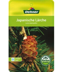 Japanische Lärche -Markenqualität 7261548 JapanischeLaerche Etikett 1