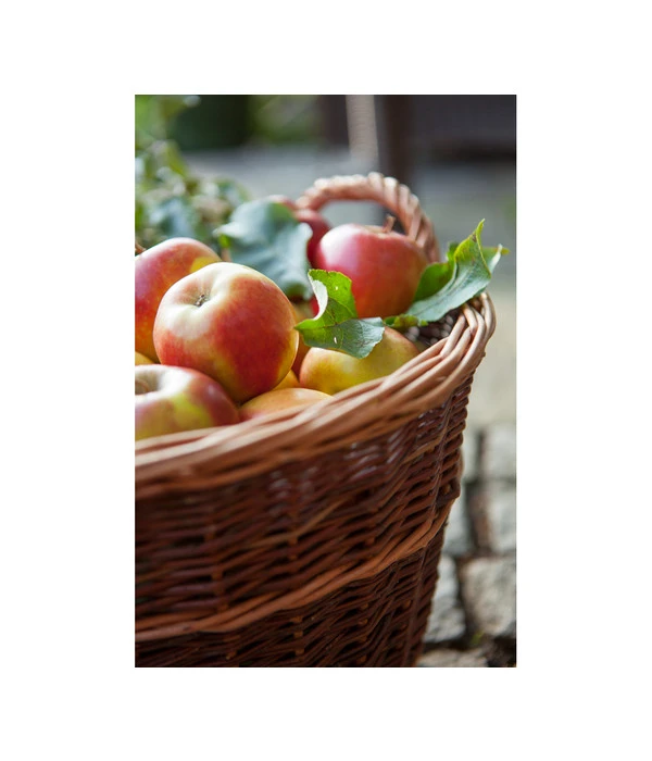 Dehner Gartenkorb 5 Dehner Gartenkorb – Bild 3