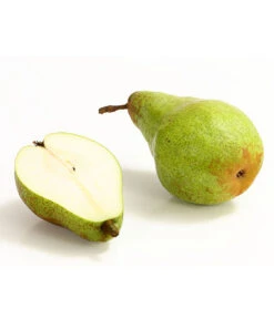 Winterbirne 'Novembra' -Markenqualität 7723695 WE DE 004 BirneNovemberDehnerExpressHerzig