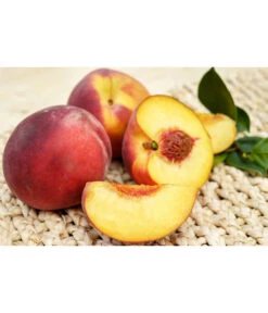 Gelbfleischiger Pfirsich -Markenqualität 7728843 PR FS 001 GelbfleischigerPfirsichPixabay