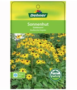 Sonnenhut 'Goldsturm' 10 Sonnenhut 'Goldsturm' -Markenqualität 8010043 RudbeckiaGoldsturmEtikett1