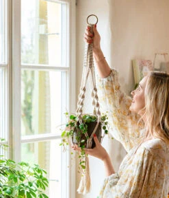 Dehner Makramee-Ampel -Markenqualität 8252173 WE MO 001 PeperomiePepperspotMakrameeAmpel