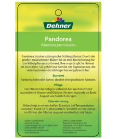 Laubenwein -Markenqualität 8600397 PandoreaEtikett2