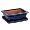 Dehner Keramik-Bonsaischale, Rechteckig, Ca. B18/H6/T14 Cm 1 Dehner Keramik-Bonsaischale, Rechteckig, Ca. B18/H6/T14 Cm -Markenqualität 8732034 WE FS 001 SchalensortimentBonsai BlauRechteckigGr 3