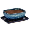 Dehner Keramik-Bonsaischale, Rechteckig, Blau/beige