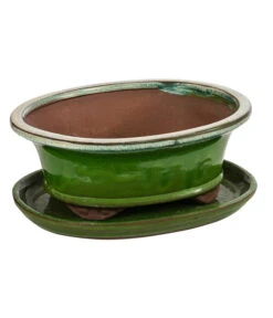 Dehner Keramik-Bonsaischale, Oval, Hellgrün/beige