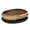 Dehner Keramik-Bonsaischale, Oval, Creme/dunkelbraun, Ca. B21/H6/T16,5 Cm 1 Dehner Keramik-Bonsaischale, Oval, Creme/dunkelbraun, Ca. B21/H6/T16,5 Cm -Markenqualität 8732190 WE FS 001 SchalensortimentBonsai CremeMokkaGr 3