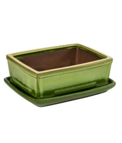 Dehner Keramik-Bonsaischale, Rechteckig, Gelb/hellgrün, Ca. B21/H7,5/T15 Cm