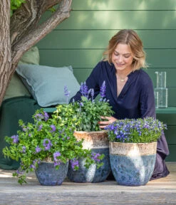 Dehner Keramik-Topf Mystras, Rund, Blau-braun 10 Dehner Keramik-Topf Mystras, Rund, Blau-braun -Markenqualität 8811143 WE MO 001 BlaueMauritius