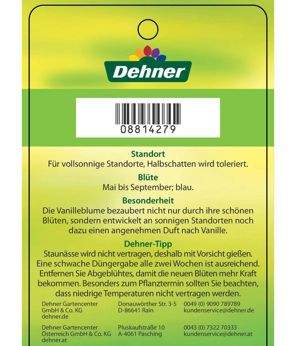 Vanilleblume 7 Vanilleblume – Bild 5
