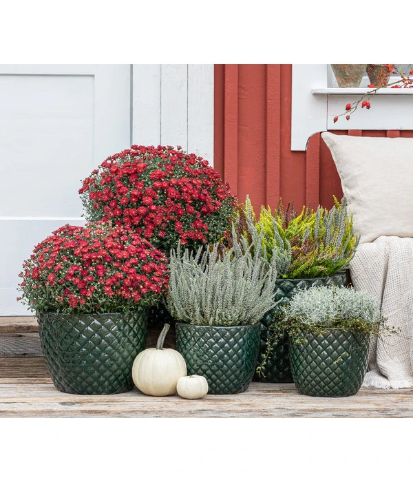 Dehner Keramik-Topf Elite 8 Dehner Keramik-Topf Elite – Bild 6