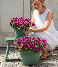 Dehner Keramik-Topf Rhodos, Rund, Blau-grün -Markenqualität 8824021 4273900 4273918 4273934 WE MO 001 HaengepetuniePicoteeT12 CrossSellTeaser