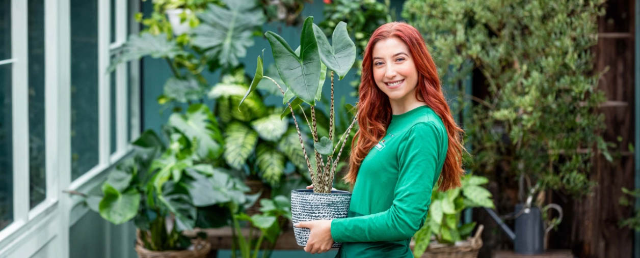 Markenqualität -Markenqualität gjuy